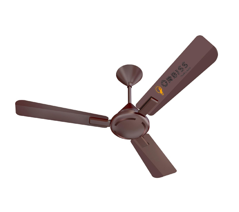 Ceiling Fan
